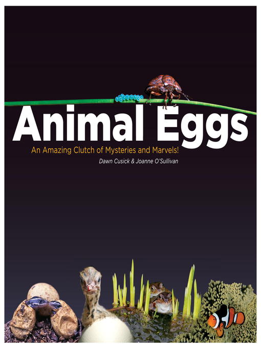 Title details for Animal Eggs by Dawn Cusick - Available